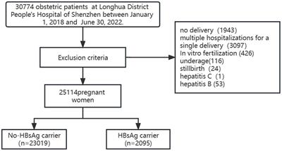 Effects of HBsAg carriers on pregnancy complications in pregnant women: a retrospective cohort study